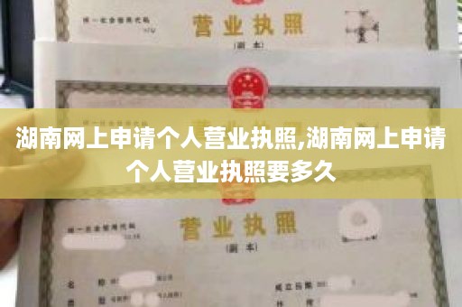 湖南网上申请个人营业执照,湖南网上申请个人营业执照要多久