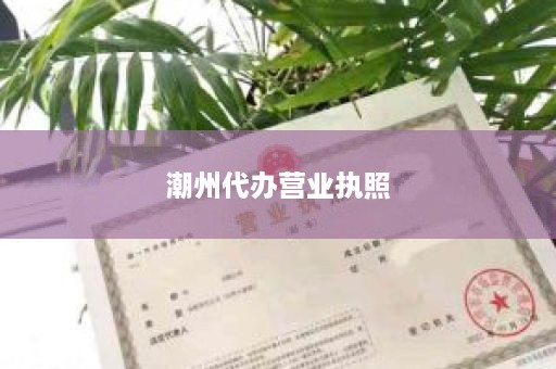 潮州代办营业执照