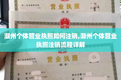 潮州个体营业执照如何注销,潮州个体营业执照注销流程详解