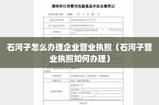 石河子怎么办理企业营业执照（石河子营业执照如何办理）