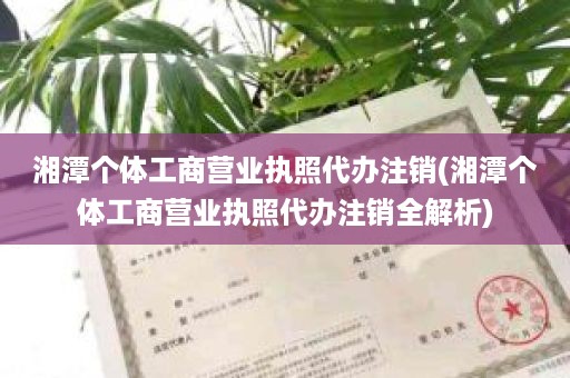 湘潭个体工商营业执照代办注销(湘潭个体工商营业执照代办注销全解析)