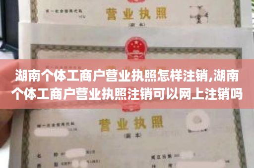 湖南个体工商户营业执照怎样注销,湖南个体工商户营业执照注销可以网上注销吗