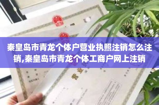 秦皇岛市青龙个体户营业执照注销怎么注销,秦皇岛市青龙个体工商户网上注销
