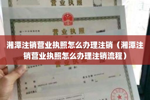 湘潭注销营业执照怎么办理注销（湘潭注销营业执照怎么办理注销流程）