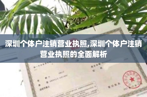 深圳个体户注销营业执照,深圳个体户注销营业执照的全面解析