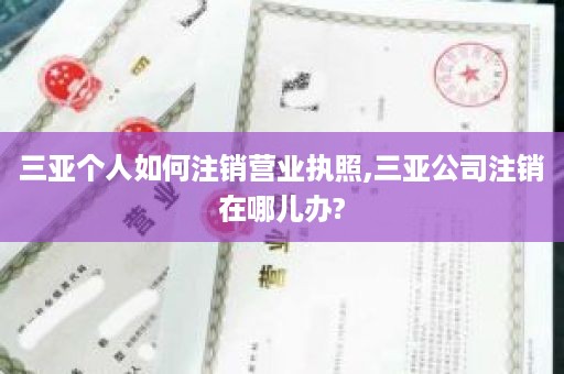 三亚个人如何注销营业执照,三亚公司注销在哪儿办?