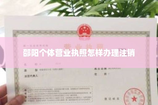 邵阳个体营业执照怎样办理注销