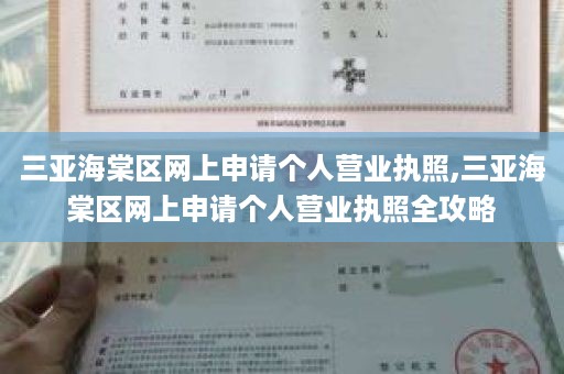 三亚海棠区网上申请个人营业执照,三亚海棠区网上申请个人营业执照全攻略