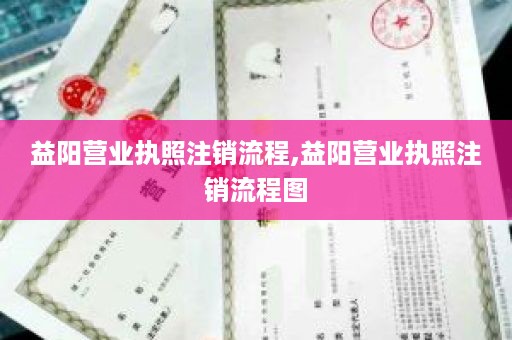 益阳营业执照注销流程,益阳营业执照注销流程图