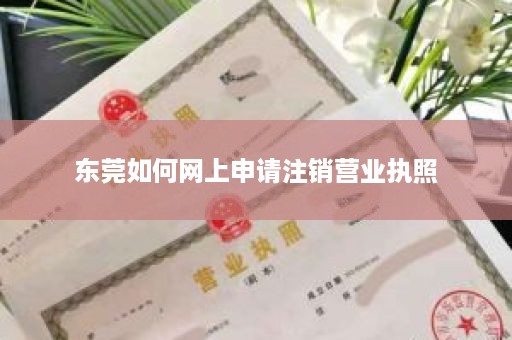 东莞如何网上申请注销营业执照