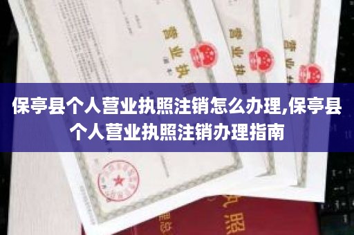 保亭县个人营业执照注销怎么办理,保亭县个人营业执照注销办理指南