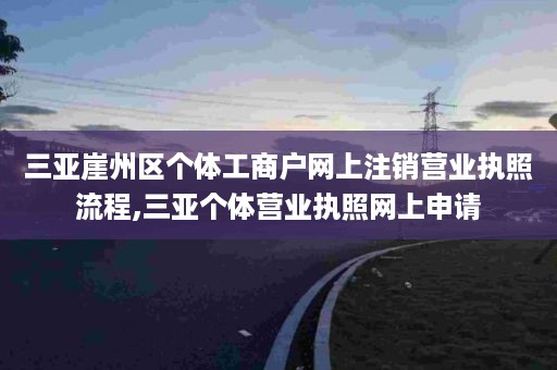 三亚崖州区个体工商户网上注销营业执照流程,三亚个体营业执照网上申请
