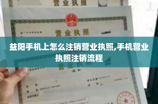 益阳手机上怎么注销营业执照,手机营业执照注销流程