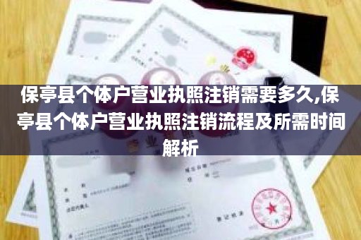 保亭县个体户营业执照注销需要多久,保亭县个体户营业执照注销流程及所需时间解析