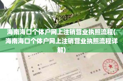 海南海口个体户网上注销营业执照流程(海南海口个体户网上注销营业执照流程详解)