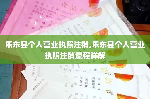 乐东县个人营业执照注销,乐东县个人营业执照注销流程详解