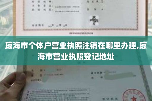 琼海市个体户营业执照注销在哪里办理,琼海市营业执照登记地址