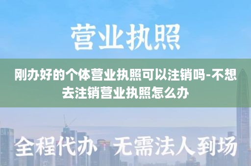 刚办好的个体营业执照可以注销吗-不想去注销营业执照怎么办