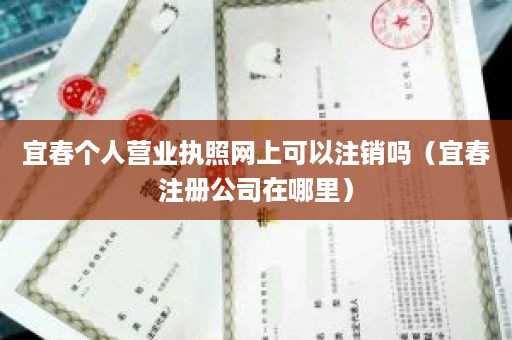 宜春个人营业执照网上可以注销吗（宜春注册公司在哪里）