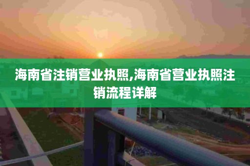 海南省注销营业执照,海南省营业执照注销流程详解
