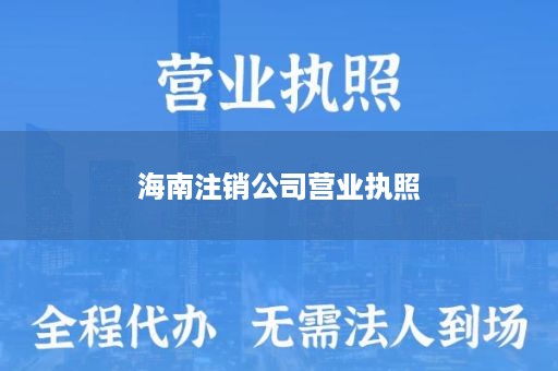 海南注销公司营业执照