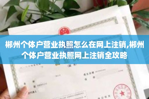 郴州个体户营业执照怎么在网上注销,郴州个体户营业执照网上注销全攻略