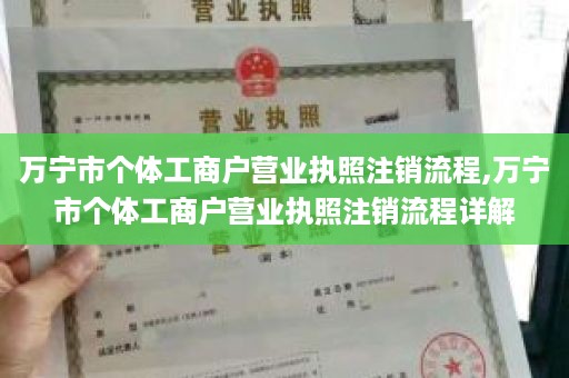 万宁市个体工商户营业执照注销流程,万宁市个体工商户营业执照注销流程详解