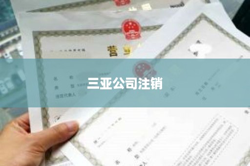 三亚公司注销