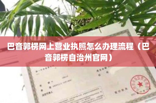 巴音郭楞网上营业执照怎么办理流程（巴音郭楞自治州官网）