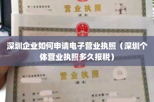 深圳企业如何申请电子营业执照（深圳个体营业执照多久报税）