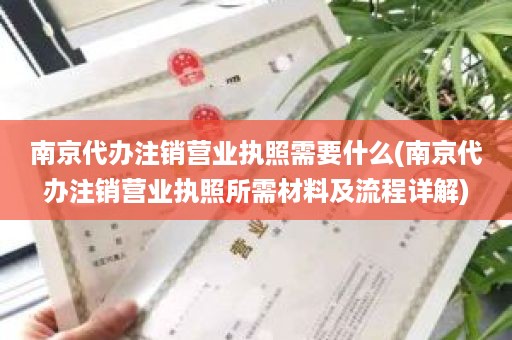 南京代办注销营业执照需要什么(南京代办注销营业执照所需材料及流程详解)