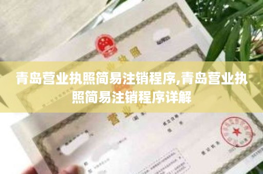 青岛营业执照简易注销程序,青岛营业执照简易注销程序详解
