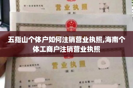 五指山个体户如何注销营业执照,海南个体工商户注销营业执照