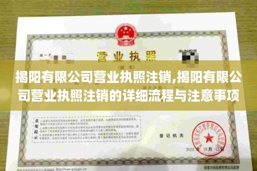 揭阳有限公司营业执照注销,揭阳有限公司营业执照注销的详细流程与注意事项