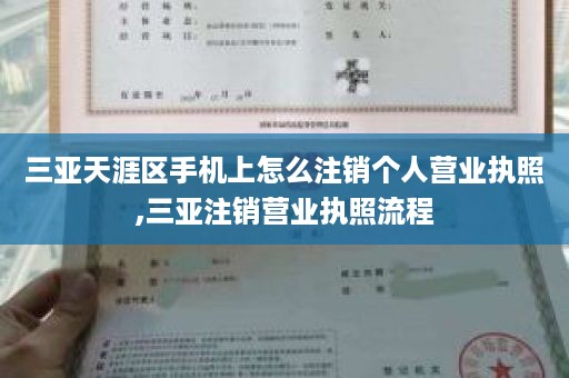 三亚天涯区手机上怎么注销个人营业执照,三亚注销营业执照流程