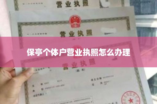 保亭个体户营业执照怎么办理