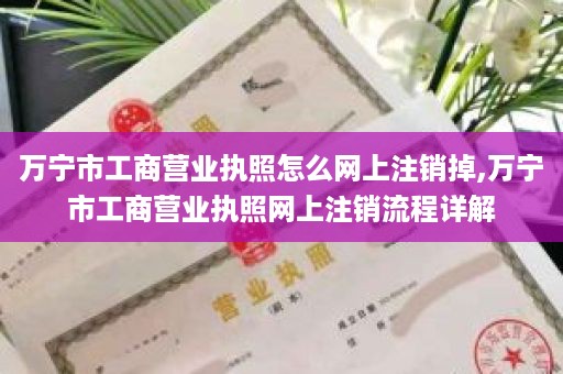 万宁市工商营业执照怎么网上注销掉,万宁市工商营业执照网上注销流程详解