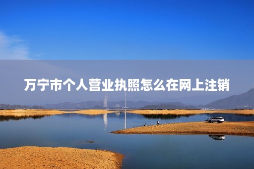 万宁市个人营业执照怎么在网上注销