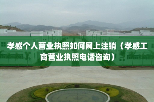 孝感个人营业执照如何网上注销（孝感工商营业执照电话咨询）