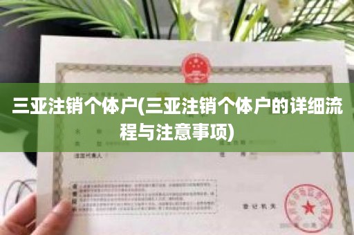 三亚注销个体户(三亚注销个体户的详细流程与注意事项)