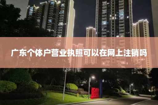 广东个体户营业执照可以在网上注销吗