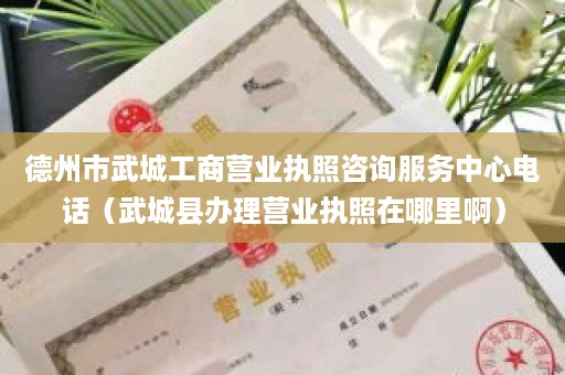 德州市武城工商营业执照咨询服务中心电话（武城县办理营业执照在哪里啊）
