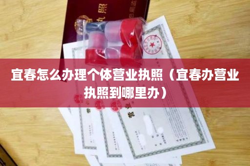 宜春怎么办理个体营业执照（宜春办营业执照到哪里办）