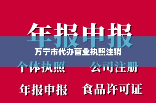万宁市代办营业执照注销