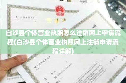 白沙县个体营业执照怎么注销网上申请流程(白沙县个体营业执照网上注销申请流程详解)