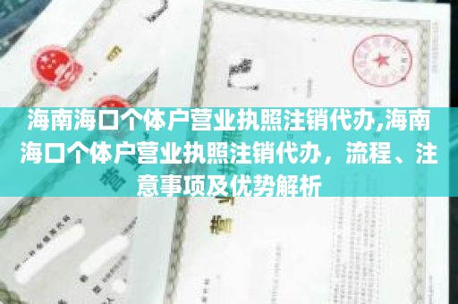 海南海口个体户营业执照注销代办,海南海口个体户营业执照注销代办，流程、注意事项及优势解析