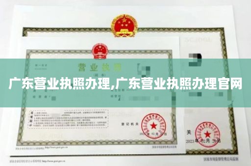 广东营业执照办理,广东营业执照办理官网
