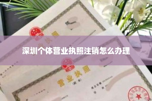 深圳个体营业执照注销怎么办理