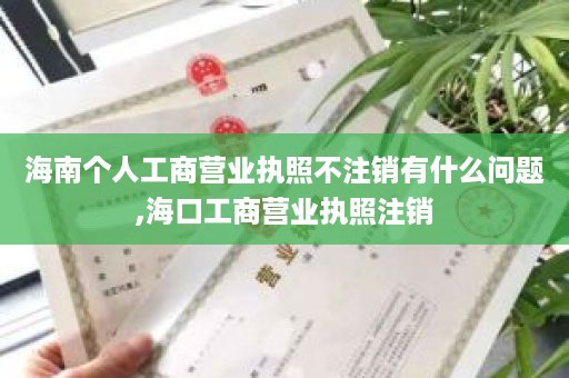 海南个人工商营业执照不注销有什么问题,海口工商营业执照注销