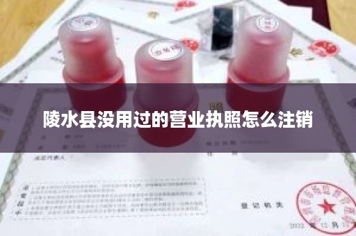 陵水县没用过的营业执照怎么注销